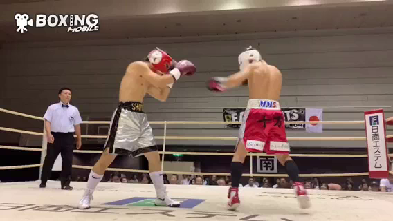 世界戦前の公開スパーリングやってきました！の記事動画