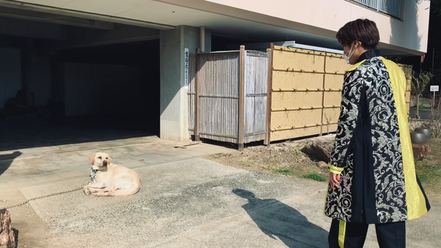 再会のわん！どえりゃあJUMP！〜KENTO〜の記事動画