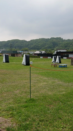風に揺れて…の記事動画