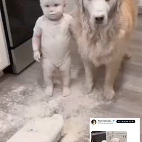 この記事の画像