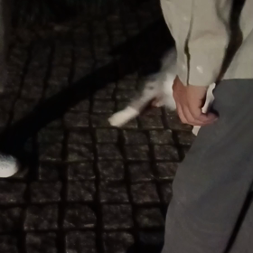 2022/10/15の画像