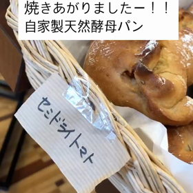自家製天然酵母パンアツアツで登場！！の画像
