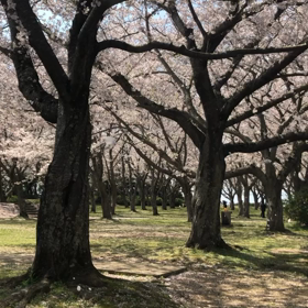 息子がますます笑うようになりましたの画像