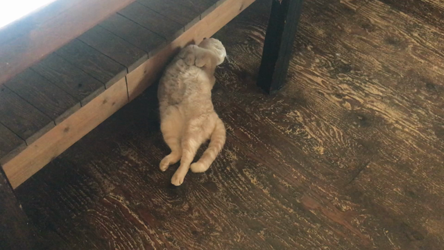 お盆営業のお知らせの記事動画