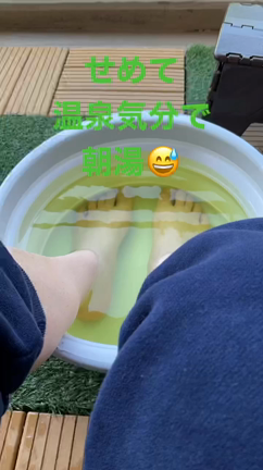 お休みの記事動画