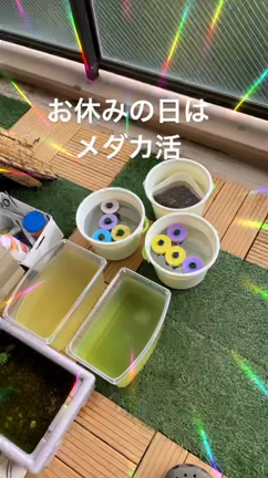 お休みの記事動画