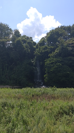 光兎神社の記事動画