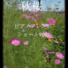 ☆秋桜（こすもす）ピアノアレンジショートver.☆の画像