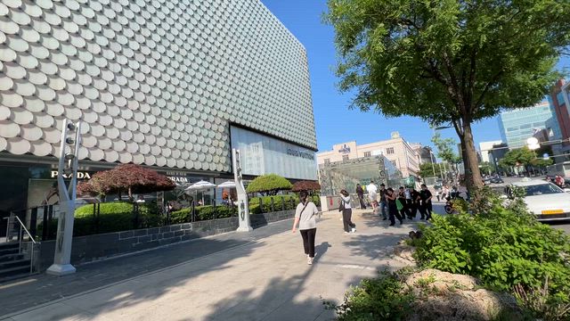 プラダそっくりのしまむらの記事動画