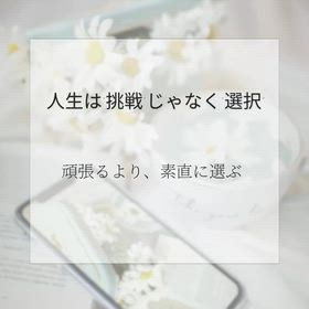 2026/04/14の画像