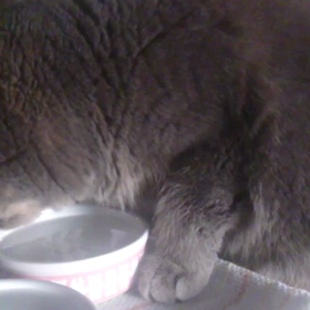 お水の飲み方の画像