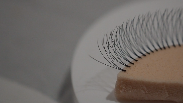 おぉ！！カメラってすごい！の記事動画