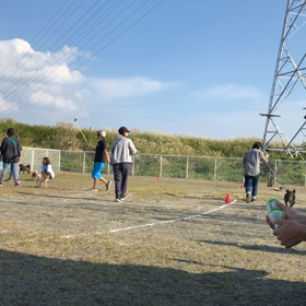 運動会だよ‼️しじみちゃん〜part2の2〜の画像
