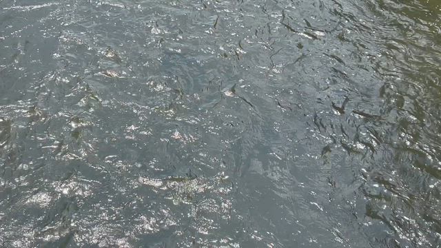 ハロー、浦和❗️の記事動画