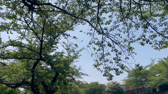 ハロー、浦和❗️の記事動画