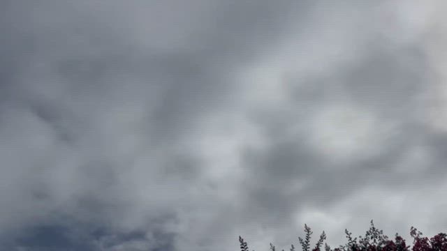 猫すけ❗️の記事動画