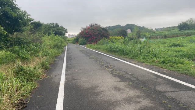 早起き猫❗️の記事動画
