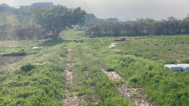 ついに捉えました❗️の記事動画