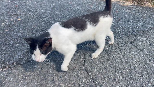 精霊がいる316❗️の記事動画