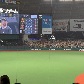 プロ野球観戦の画像