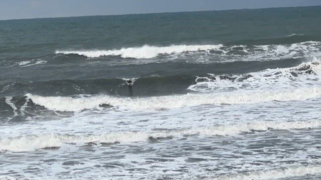 今朝の海から、、、の記事動画