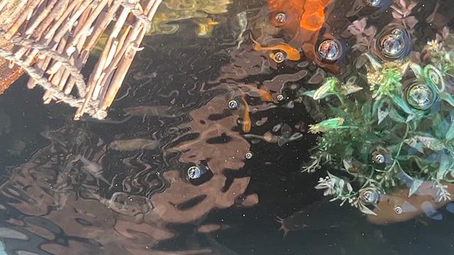 午後から土弄りの記事動画