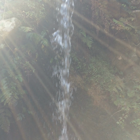 waterfall of love !の画像
