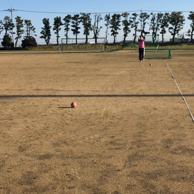 プログレッシブ ティールSHOWの画像