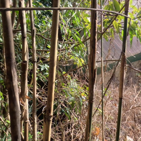 ヘタ撃ちの画像