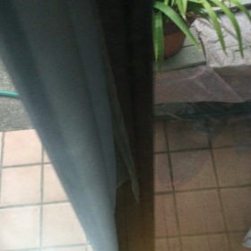 動画の画像