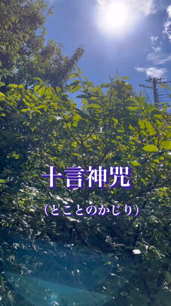 【十言神咒神法】太陽の日拝で、祓い 鎮魂 帰神 開運するの記事動画