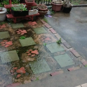 大雨見舞いありがとうございます‼️の画像