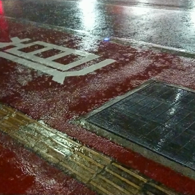 なかなかやまない雨です‼️の画像