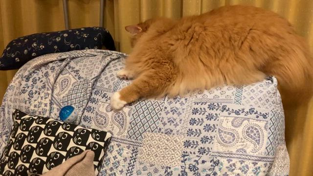おはようございます　今日も雨の記事動画