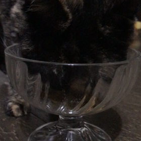 代々の画像