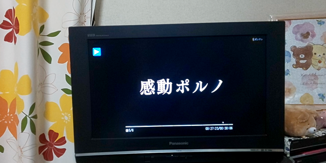 感動ポルノとヒヤシンスの記事動画