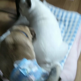 ボク名前覚えたよの画像