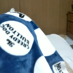 いい飲みっぷりの画像
