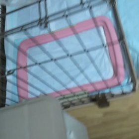 ヒヨ吉トイレ覚えたよ✨の画像
