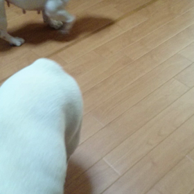 取られちゃったよぉ～(>_<)の画像