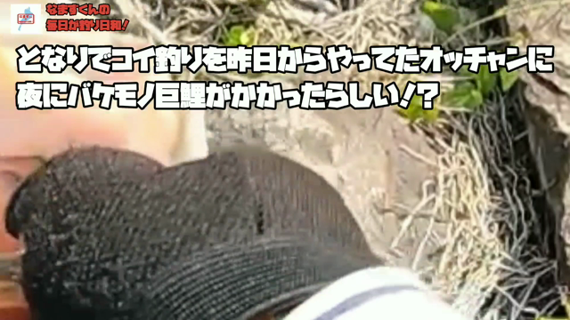 夏に向けて沖のウイードを狙ったらデカバスが釣れた！の記事動画