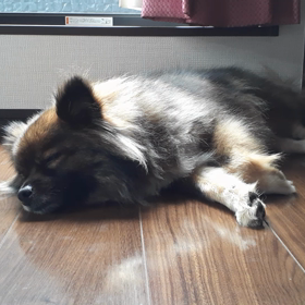 17日目エピローグの画像