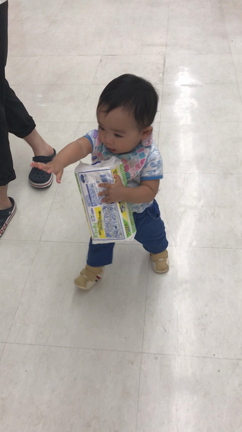 豊後無双のこととか色々の記事動画