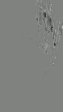シロハラさん、あーちゃん、十姉妹さん、引き続きのみなさんの記事動画