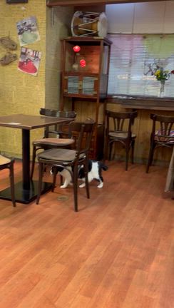 新大久保の名店「美名家（ミナヤ）」の記事動画