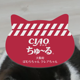 チュールの画像