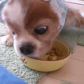 食事風景の画像