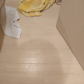 なんだなんだの画像