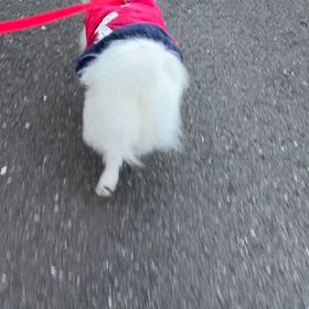 気がもめるの画像