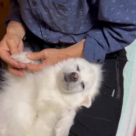 いつものが遅くなっての画像